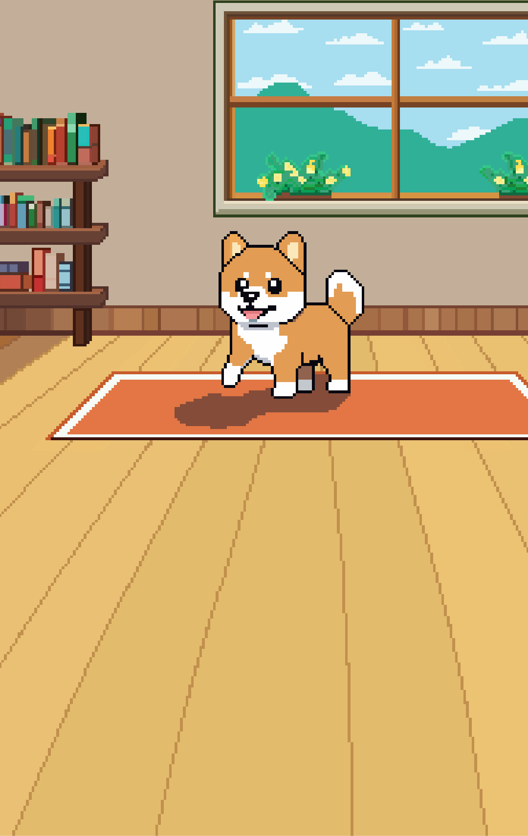 Pixel, the shiba inu in his living room.